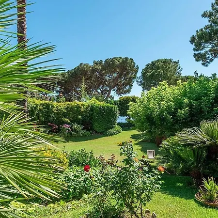 Spacious Villa With Beautiful View And Plot